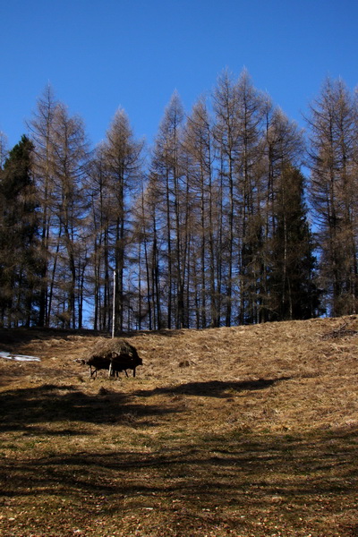 Osadník zo Štósa (Volovské vrchy)