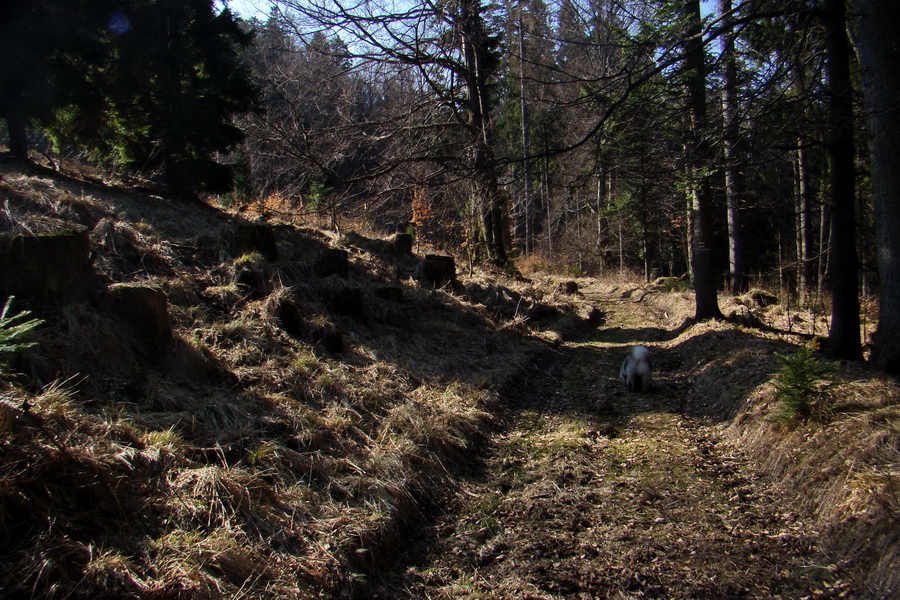 Osadník zo Štósa (Volovské vrchy)