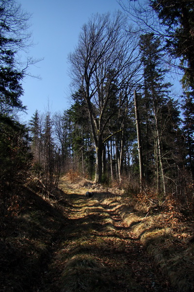 Osadník zo Štósa (Volovské vrchy)