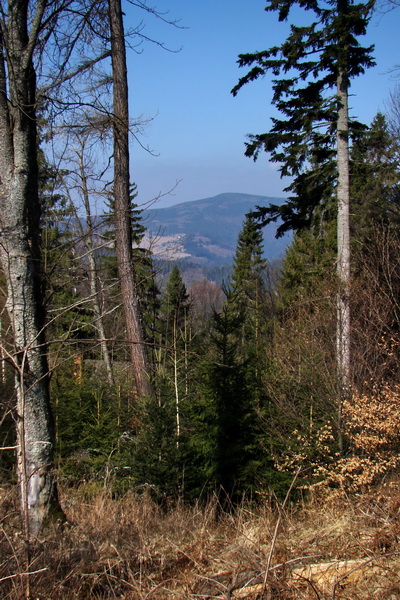 Osadník zo Štósa (Volovské vrchy)