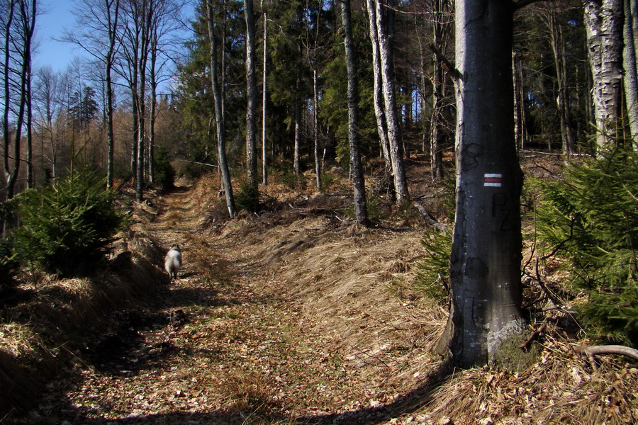 Osadník zo Štósa (Volovské vrchy)