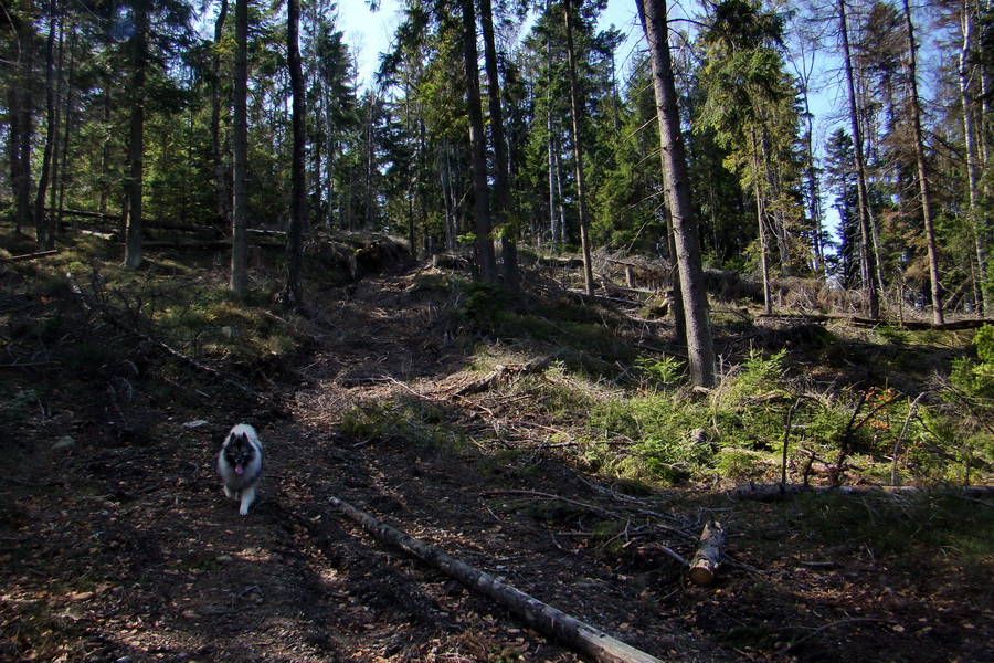 Osadník zo Štósa (Volovské vrchy)