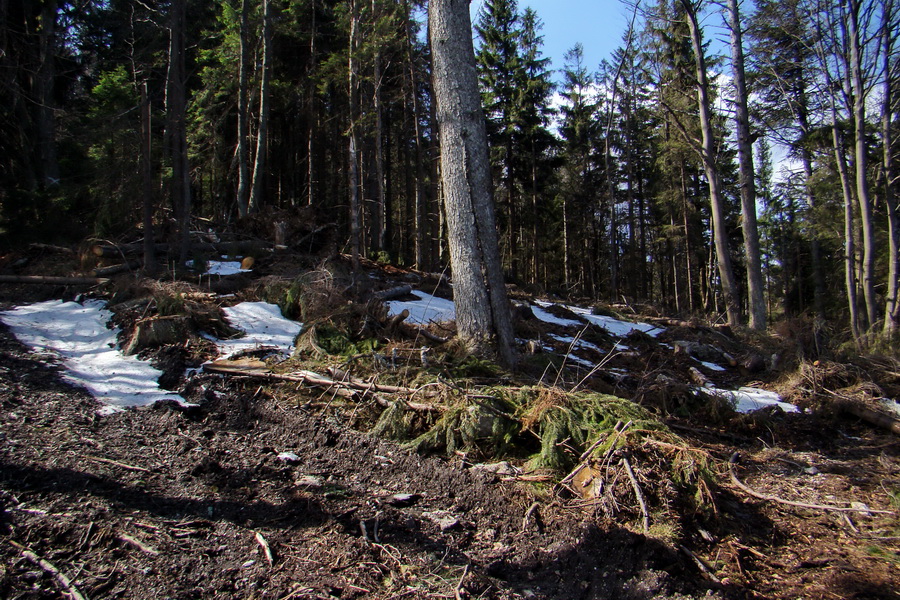 Osadník zo Štósa (Volovské vrchy)