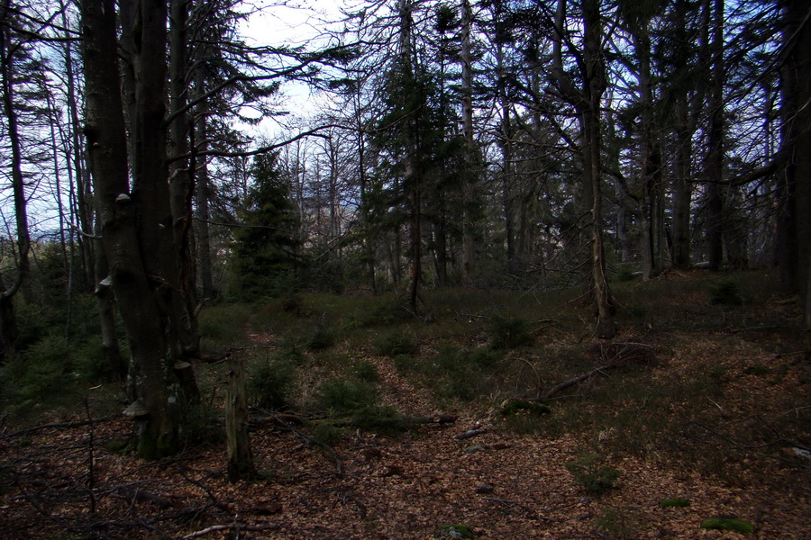 Osadník zo Štósa (Volovské vrchy)