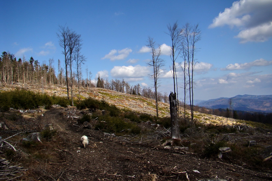 Osadník zo Štósa (Volovské vrchy)