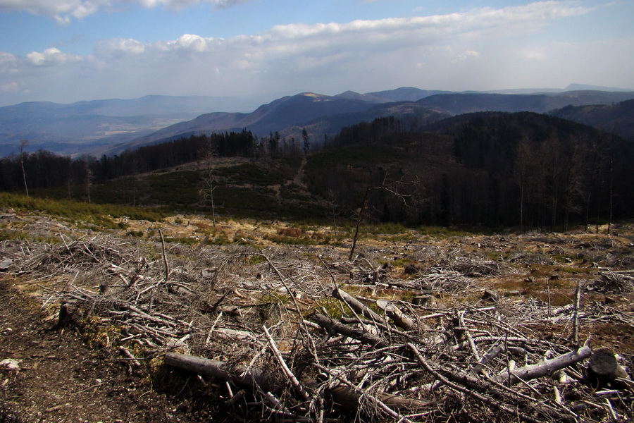 Osadník zo Štósa (Volovské vrchy)