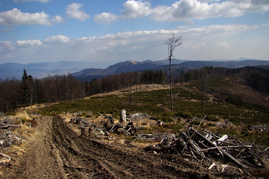 Osadník zo Štósa (Volovské vrchy)