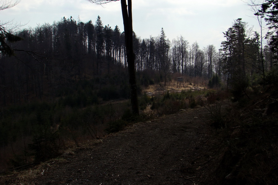 Osadník zo Štósa (Volovské vrchy)