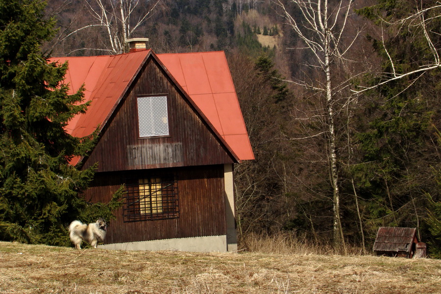 Osadník zo Štósa (Volovské vrchy)