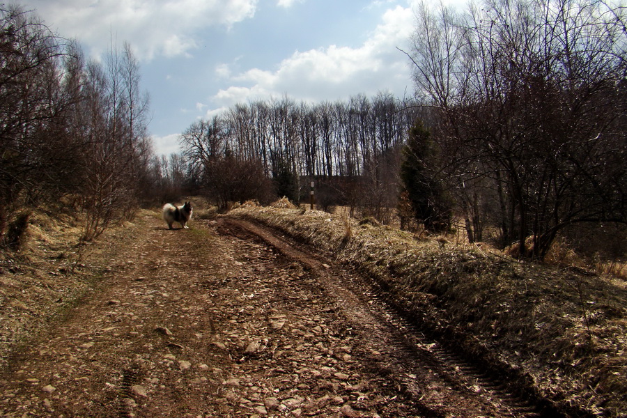 Osadník zo Štósa (Volovské vrchy)