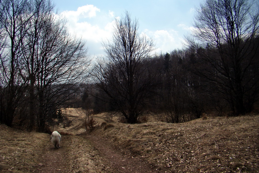 Osadník zo Štósa (Volovské vrchy)