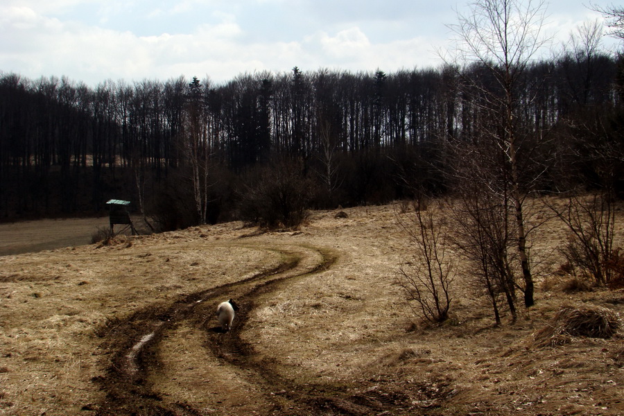 Osadník zo Štósa (Volovské vrchy)