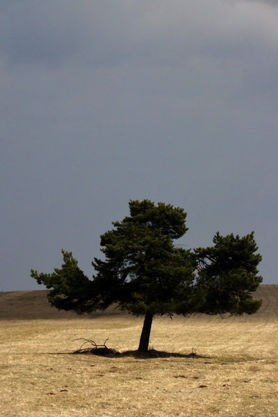 Osadník zo Štósa (Volovské vrchy)