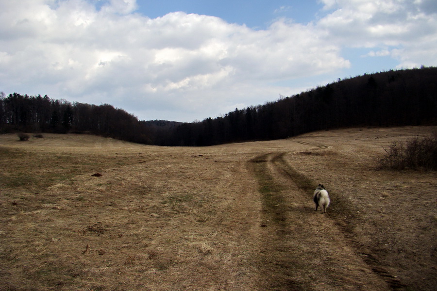 Osadník zo Štósa (Volovské vrchy)