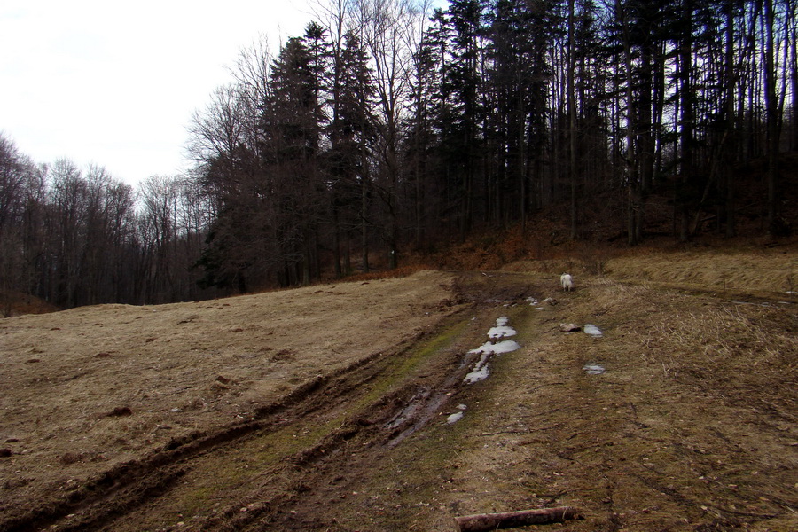 Osadník zo Štósa (Volovské vrchy)