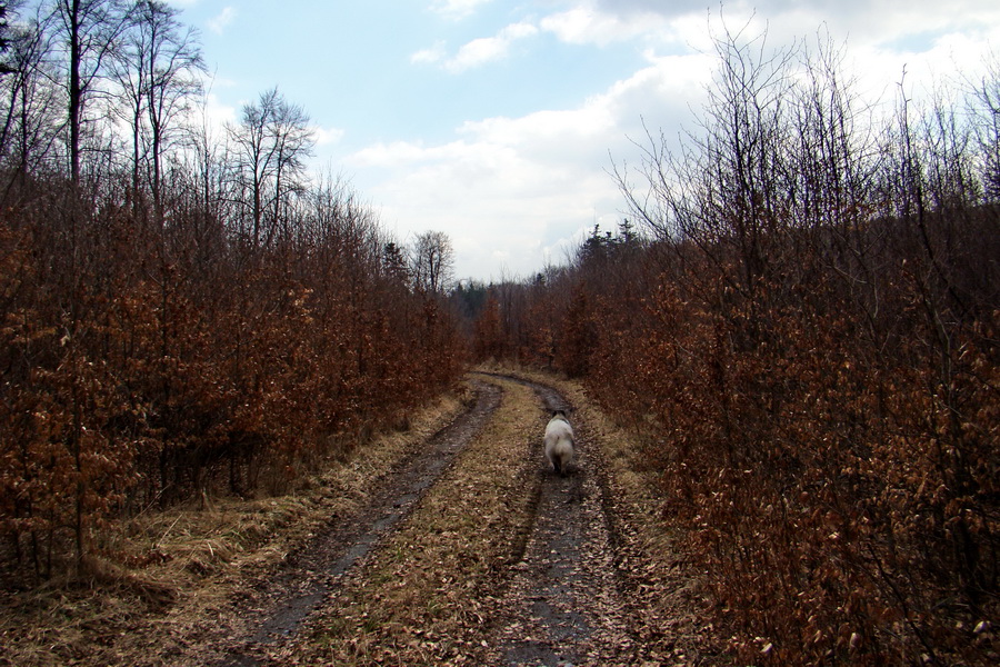 Osadník zo Štósa (Volovské vrchy)