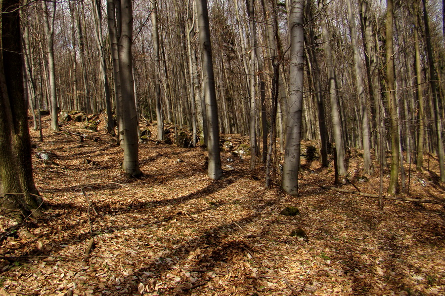 Osadník zo Štósa (Volovské vrchy)