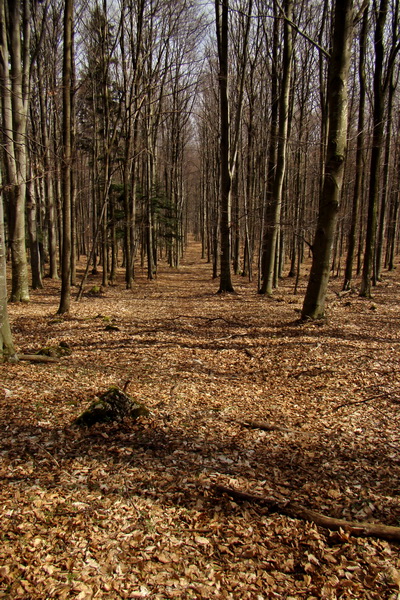 Osadník zo Štósa (Volovské vrchy)