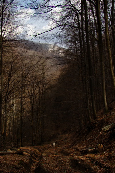 Osadník zo Štósa (Volovské vrchy)