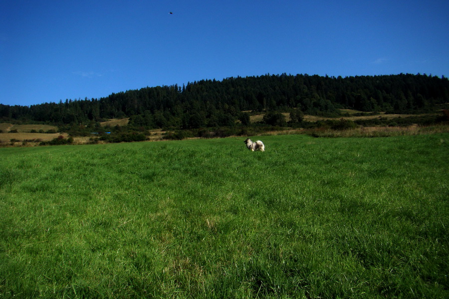 Pálenica a Veľká Knola za jeden deň (Volovské vrchy)