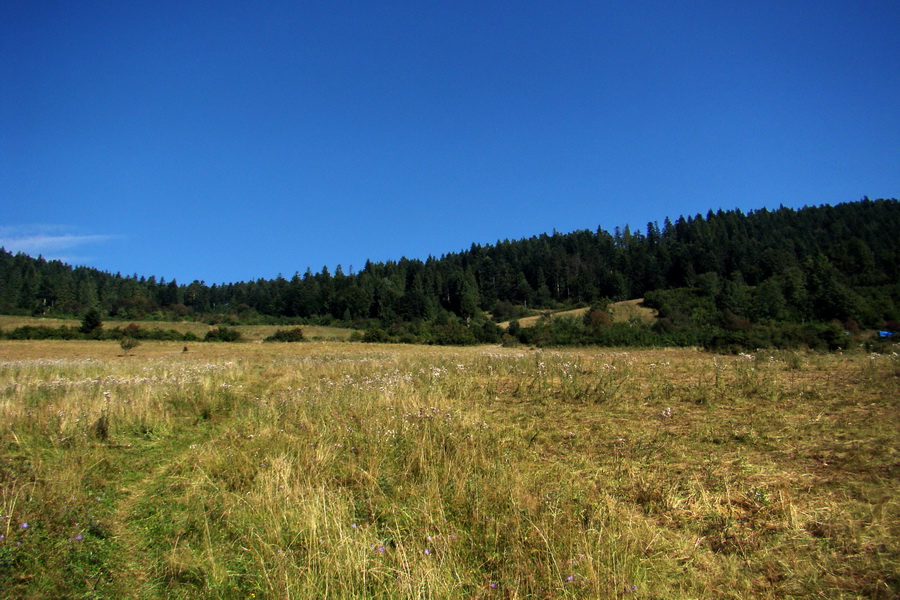 Pálenica a Veľká Knola za jeden deň (Volovské vrchy)