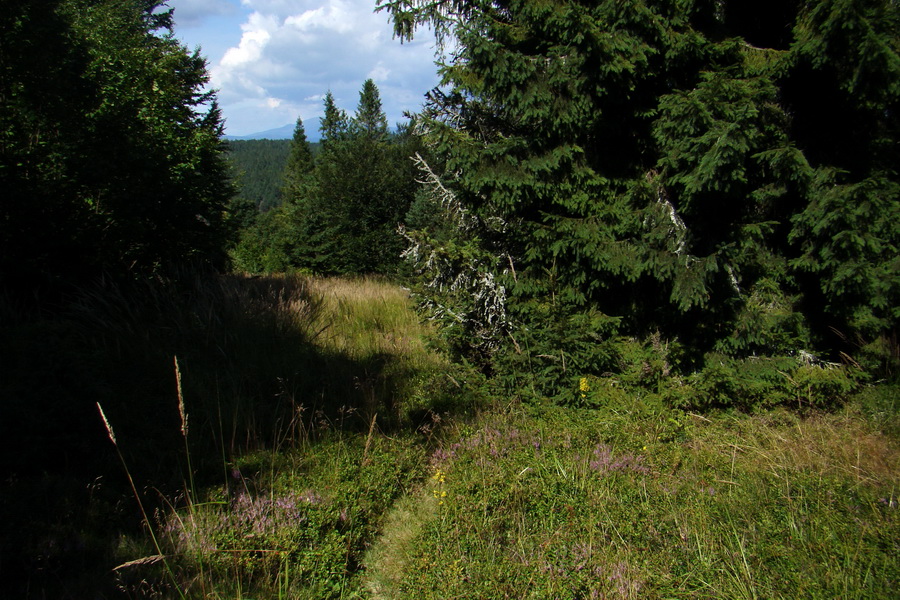 Pálenica a Veľká Knola za jeden deň (Volovské vrchy)