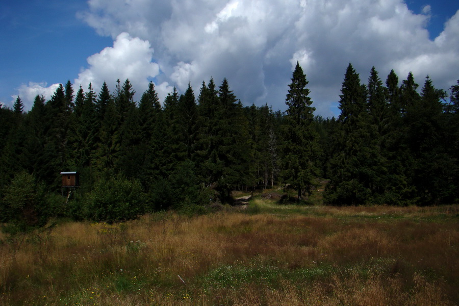 Pálenica a Veľká Knola za jeden deň (Volovské vrchy)