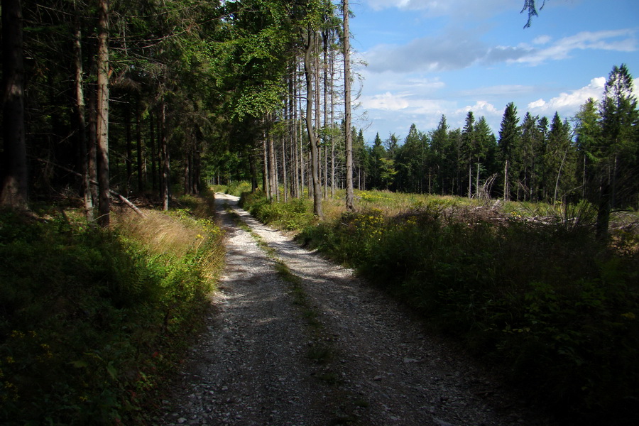 Pálenica a Veľká Knola za jeden deň (Volovské vrchy)