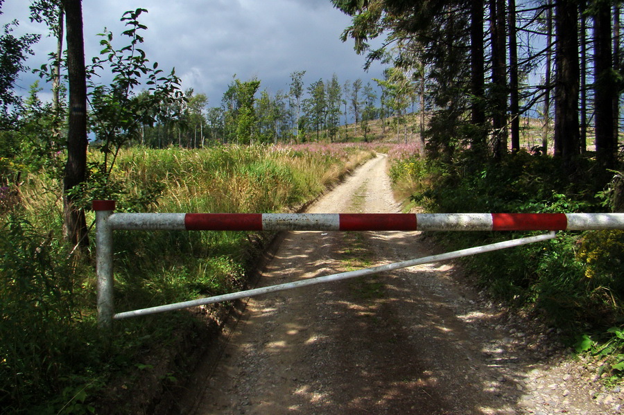 Pálenica a Veľká Knola za jeden deň (Volovské vrchy)