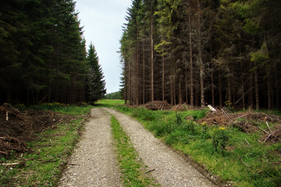 Pálenica a Veľká Knola za jeden deň (Volovské vrchy)