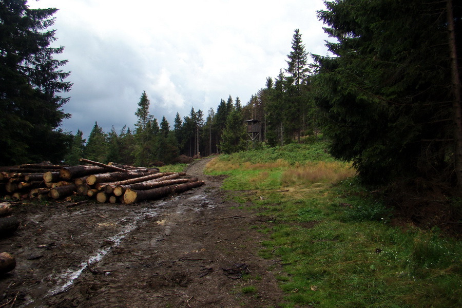 Pálenica a Veľká Knola za jeden deň (Volovské vrchy)