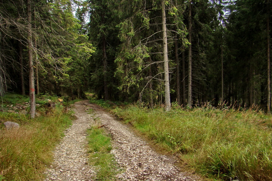 Pálenica a Veľká Knola za jeden deň (Volovské vrchy)