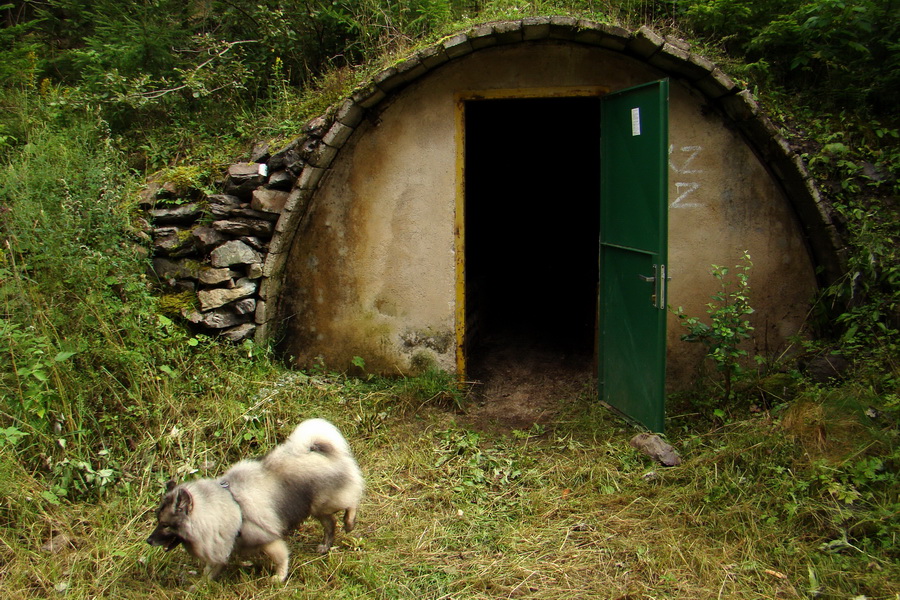 Pálenica a Veľká Knola za jeden deň (Volovské vrchy)