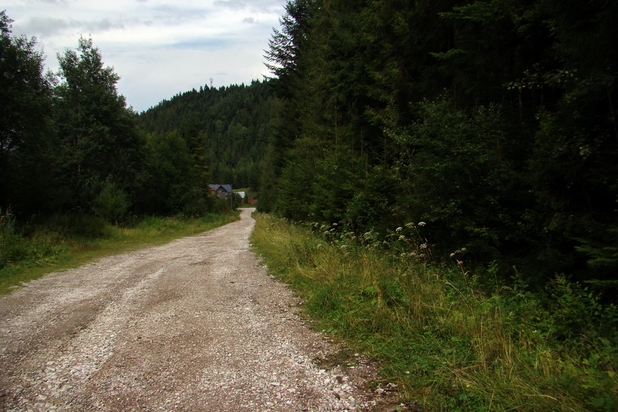 Pálenica a Veľká Knola za jeden deň (Volovské vrchy)