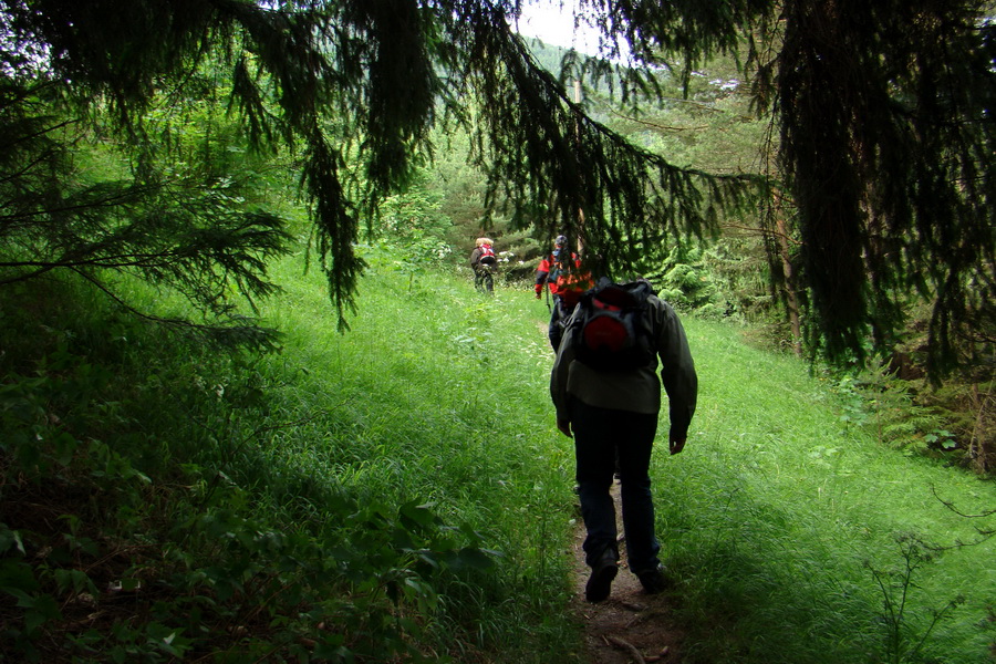 Poludnica a Krakova hoľa za jeden deň (Nízke Tatry)