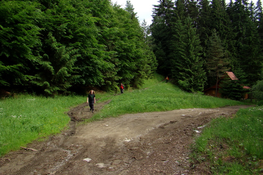 Poludnica a Krakova hoľa za jeden deň (Nízke Tatry)