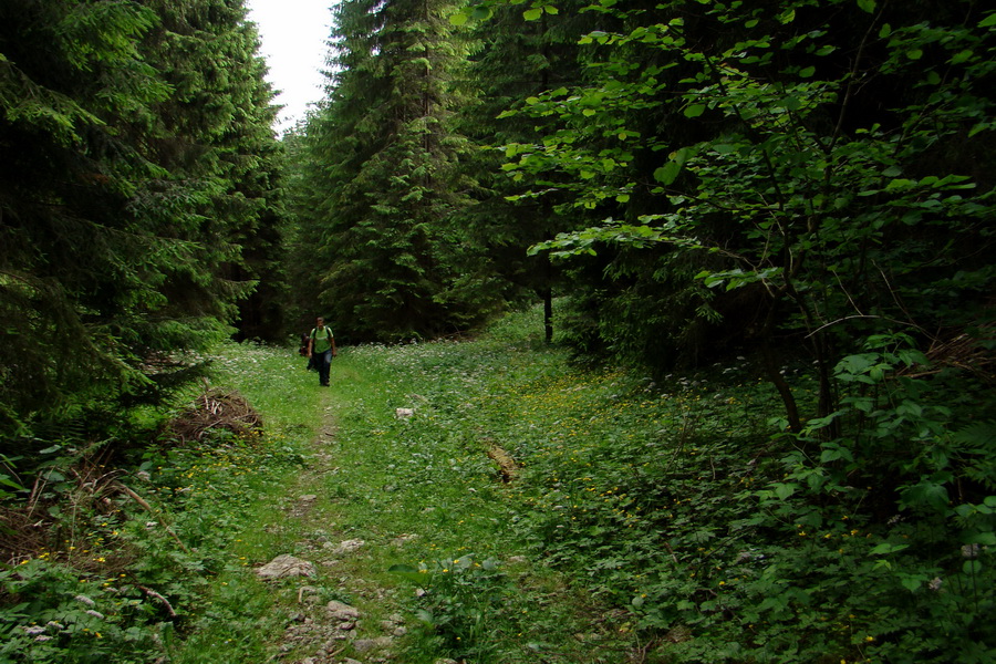 Poludnica a Krakova hoľa za jeden deň (Nízke Tatry)