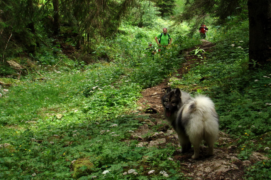 Poludnica a Krakova hoľa za jeden deň (Nízke Tatry)