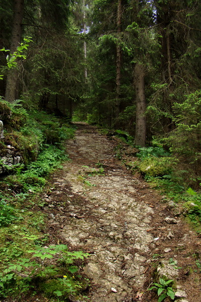 Poludnica a Krakova hoľa za jeden deň (Nízke Tatry)