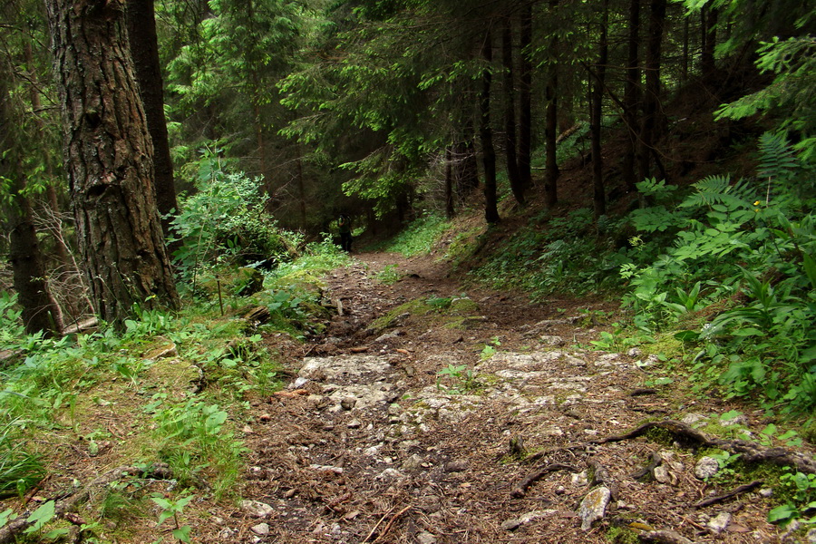 Poludnica a Krakova hoľa za jeden deň (Nízke Tatry)