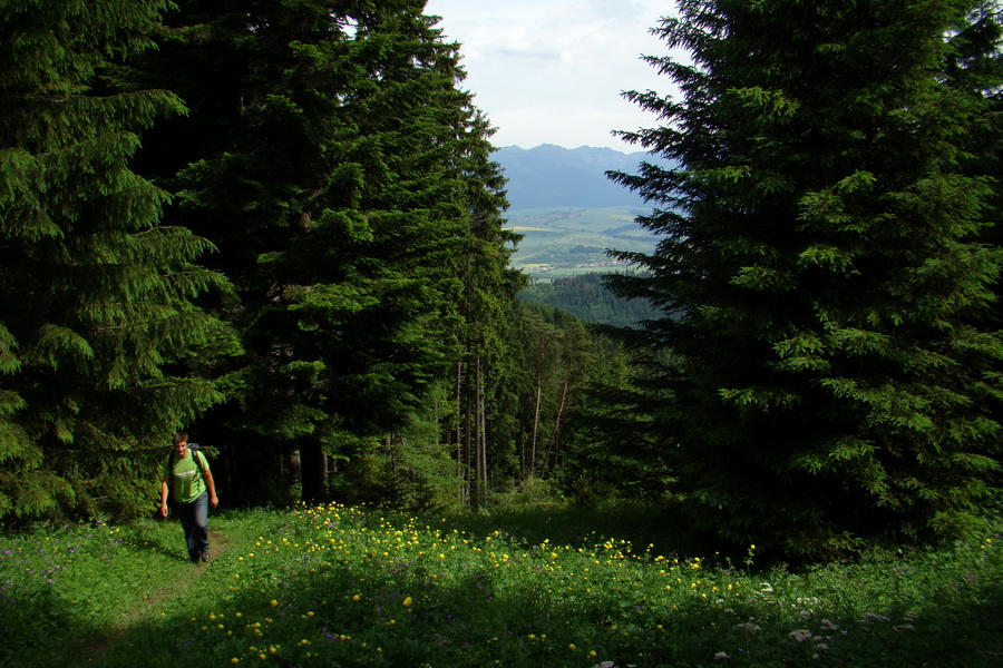 Poludnica a Krakova hoľa za jeden deň (Nízke Tatry)