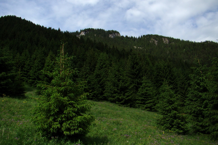 Poludnica a Krakova hoľa za jeden deň (Nízke Tatry)