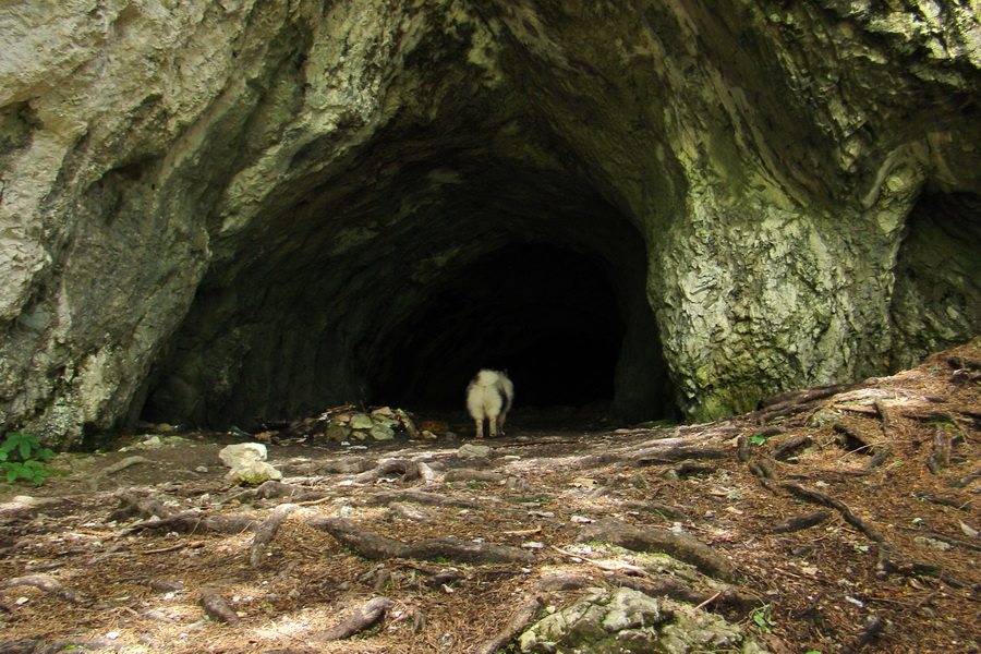 Poludnica a Krakova hoľa za jeden deň (Nízke Tatry)