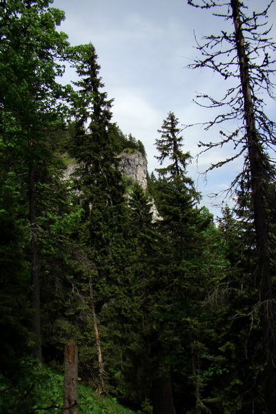 Poludnica a Krakova hoľa za jeden deň (Nízke Tatry)