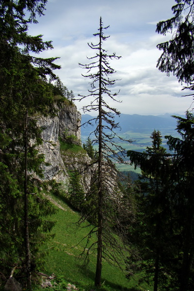 Poludnica a Krakova hoľa za jeden deň (Nízke Tatry)