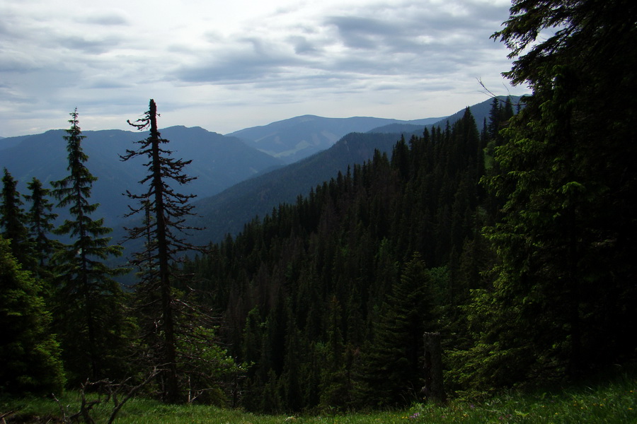 Poludnica a Krakova hoľa za jeden deň (Nízke Tatry)