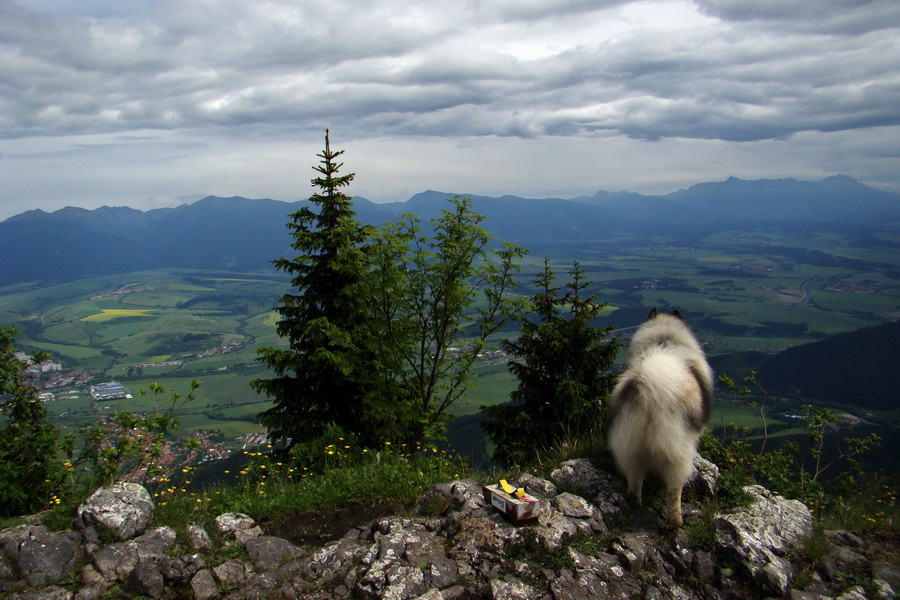 Poludnica a Krakova hoľa za jeden deň (Nízke Tatry)