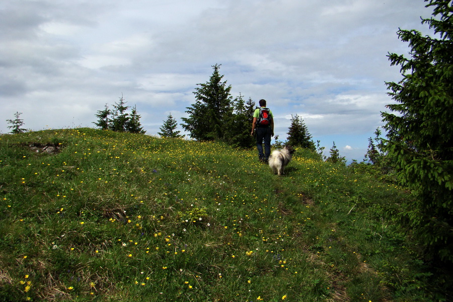 Poludnica a Krakova hoľa za jeden deň (Nízke Tatry)