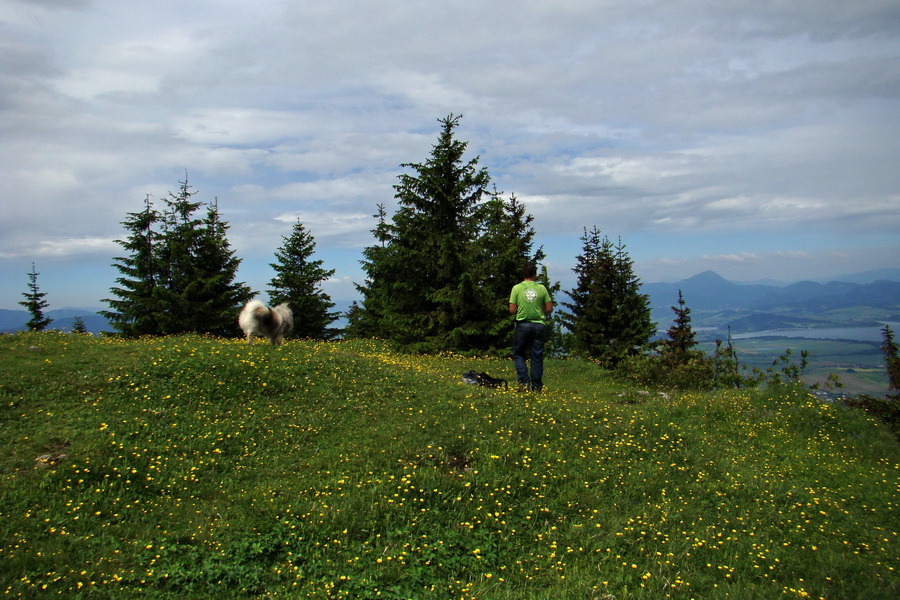 Poludnica a Krakova hoľa za jeden deň (Nízke Tatry)