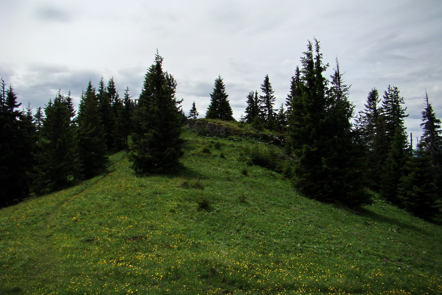 Poludnica a Krakova hoľa za jeden deň (Nízke Tatry)